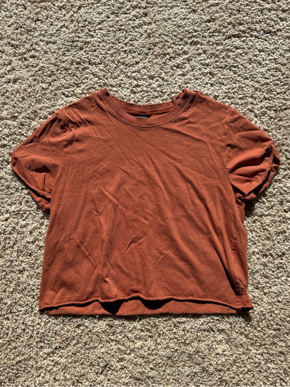Wild Fable Rust Tee
